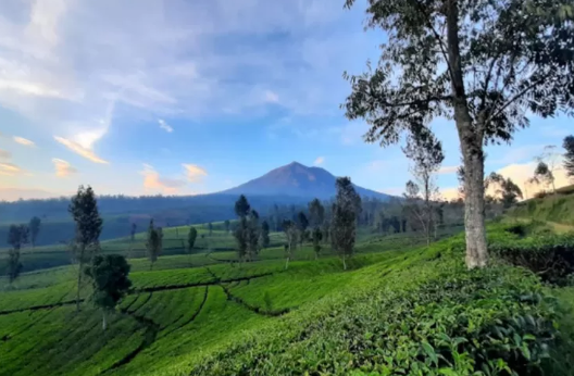 تعرف على سحر مدينة جاروت الملقبة بـ “سويس فان جافا”(Swiss van Java)