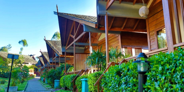 تذاكر سفاري بونشاك